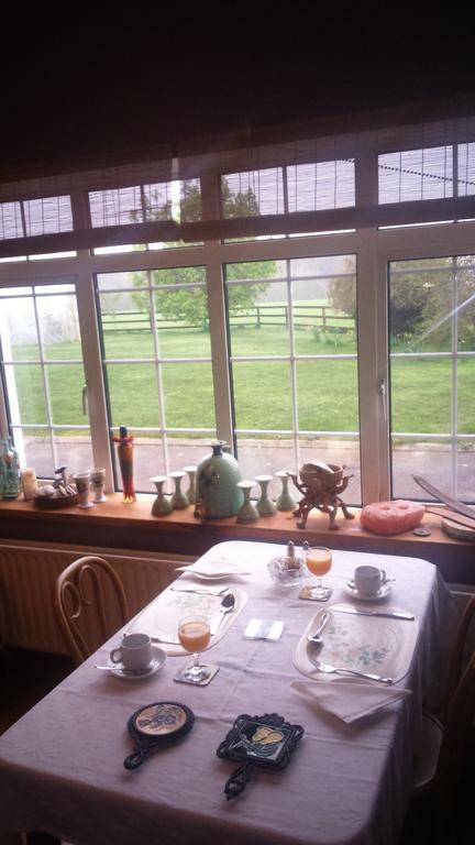 Aurora House Bed And Breakfast Athy Exterior foto